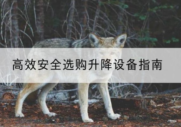 平遥升降货梯厂家推荐-*安全选购升降设备指南