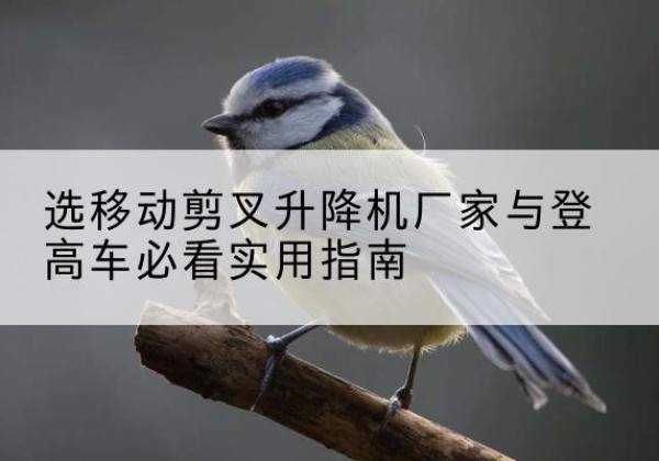 平遥电动升降机厂家-选移动剪叉升降机厂家与登高车必看实用指南