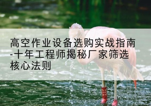 平遥剪叉式升降机厂家-高空作业设备选购实战指南-十年工程师揭秘厂家筛选核心法则